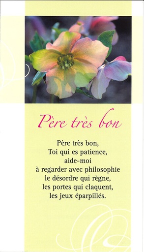 [SGN-21SP014] Gebedskaart Père très bon - SP014