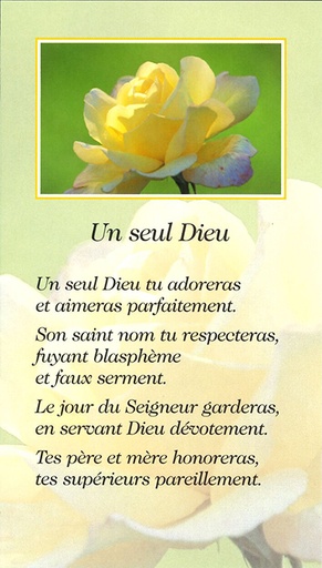 [SGN-21SP029] Gebedskaart Les dix commandemants - SP029