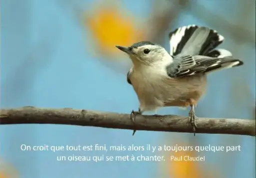 [ATM-04TFR002] Magnet - 55x80mm - On croit que ...