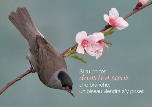 [ATM-04TFR007] Magnet - 55x80mm - Si tu parles dans ...