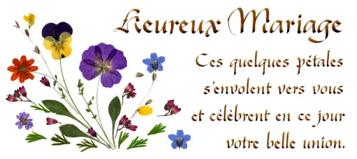 [PDO-00CFR098] Carte série 'Citations - Le Mariage' - 'Ces quelques pétales...' - 10,5x21cm + envel.