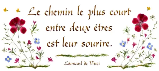 [PDO-00CFR050] Carte série 'Citations - L'Amour' - 'Le chemin le plus court...' - 10,5x21cm + envel.