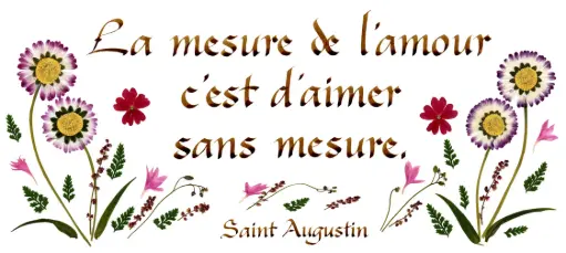 [PDO-00CFR061] Carte série 'Citations - L'Amour' - 'La mesure de l'amour...' - 10,5x21cm + envel.