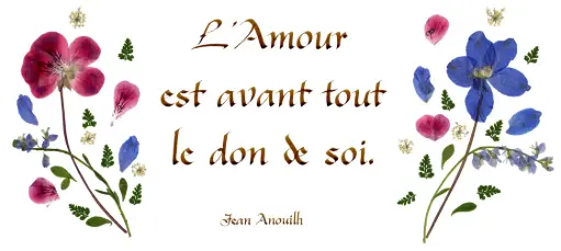 [PDO-00CFR068] Kaart serie 'Citations - L'Amour' - 'L'amour est avant tout...' - 10,5x21cm + envel.