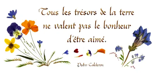 [PDO-00CFR029] Carte série 'Citations - L'Amour' - 'Tous les trésors de la terre...' - 10,5x21cm + envel.