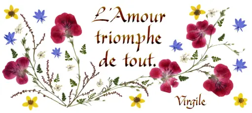 [PDO-00CFR075] Kaart serie 'Citations - L'Amour' - 'L'Amour triomphe de tout' - 10,5x21cm + envel.