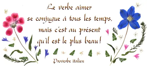 [PDO-00CFR088] Carte série 'Citations - L'Amour' - 'Le verbe aimer ...' - 10,5x21cm + envel.
