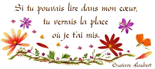 [PDO-00CFR091] Kaart serie 'Citations - L'Amour' - 'Si tu pouvais lire ...' - 10,5x21cm + envel.