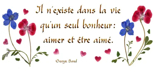 [PDO-00CFR141] Carte série 'Citations - L'Amour' - 'Il n'existe dans la vie...' - 10,5x21cm + envel. 