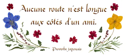 [PDO-00CFR018] Kaart serie 'Citations - L'Amitié' - 'Aucune route n'est longue...' - 10,5x21cm + envel.