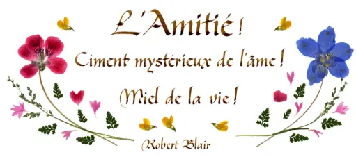 [PDO-00CFR112] Kaart serie 'Citations - L'Amitié' - 'L'Amitié! Ciment...' - 10,5x21cm + envel.