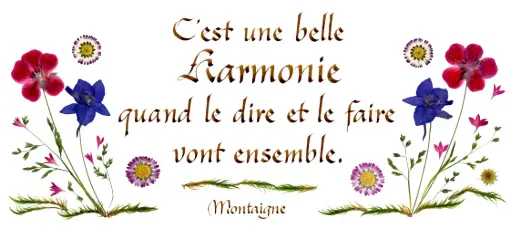 [PDO-00CFR038] Carte série 'Citations - La Beauté' - 'C'est une belle harmonie...' - 10,5x21cm + envel.