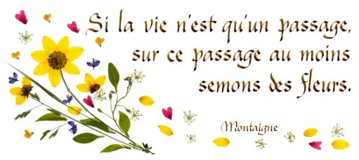[PDO-00CFR016] Kaart serie 'Citations - La Vie' - 'Si la vie n'est qu'un passage...' - 10,5x21cm + envel.