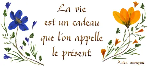 [PDO-00CFR030] Kaart serie 'Citations - La Vie' - 'La vie est un cadeau...' - 10,5x21cm + envel.