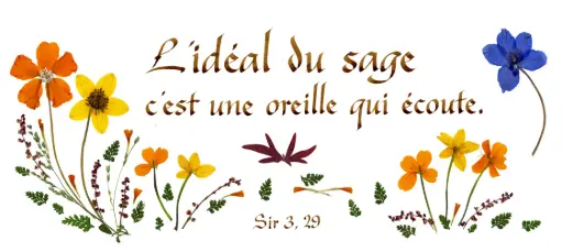 [PDO-00CFR147] Carte série 'Citations - Sagesse' - 'L'idéal du sage...' - 10,5x21cm + envel.