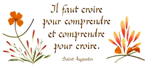 [PDO-00CFR001] Kaart serie 'Citations - Spiritualité' - 'Il faut croire pour comprendre...' - 10,5x21cm + envel.