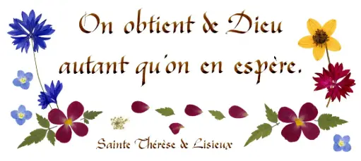 [PDO-00CFR180] Kaart serie 'Citations - Spiritualité' - 'On obtient de Dieu...' - 10,5x21cm + envel.