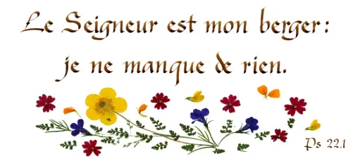 [PDO-00CFR226] Carte série 'Citations - Psaumes' - 'Le Seigneur est mon berger...' - 10,5x21cm + envel.