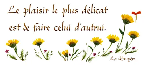 [PDO-00CFR065] Kaart serie 'Citations - Divers' - 'Le plaisir le plus délicat...' - 10,5x21cm + envel.
