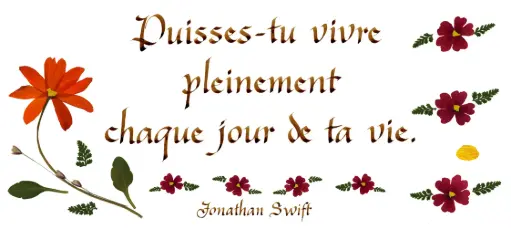 [PDO-00CFR130] Carte série 'Citations - Divers' - 'Puisses-tu vivre pleinement...' - 10,5x21cm + envel.