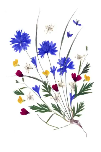 [PDO-00FL002] Carte double série 'Fleurs séchées' - model 002 - 10x15cm + envel.