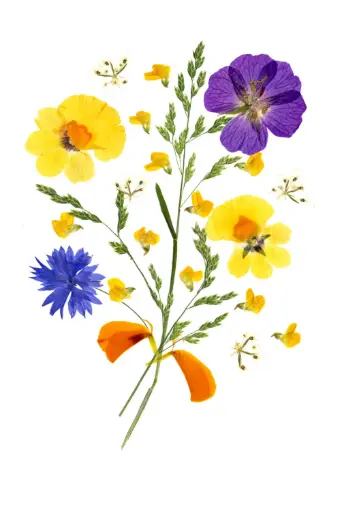 [PDO-00FL009] Dubbelkaart serie 'Fleurs séchées' - model 009 - 10x15cm + envel.