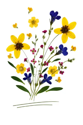 [PDO-00FL018] Carte double série 'Fleurs séchées' - model 018 - 10x15cm + envel.