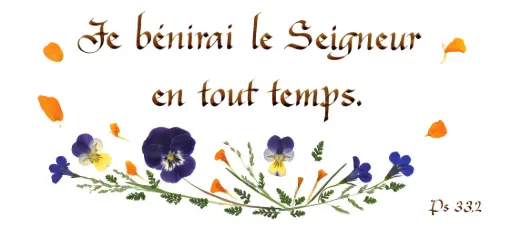[PDO-00CFR221] Kaart serie 'Citations - Psaumes' - 'Je bénirai le Seigneur...' - 10,5x21cm + envel.