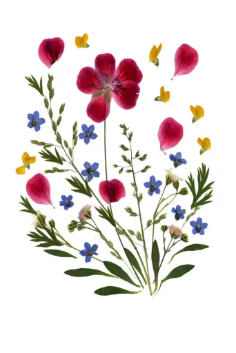 [PDO-00FL011] Dubbelkaart serie 'Fleurs séchées' - model 011 - 10x15cm + envel.