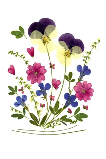 [PDO-00FL012] Carte double série 'Fleurs séchées' - model 012 - 10x15cm + envel.